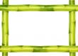 Bamboo frame made of stems