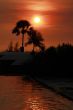 Beautifull tropical sunset