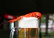 Red crawfish and beer