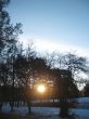 Sunrise in the winter forest. Caucaus nature