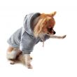dressed chihuahua