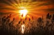 Sunset Lake - Garda Lake - Italy