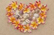 Frangipani/plumeria flowers in shape of heart, filled with sea shells