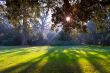 Park of castle of Chenonceau