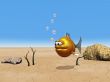 funny goldfish