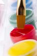 Paint and Brush