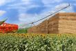 Agriculture