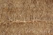 straw