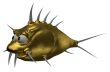 prickles goldfish