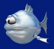 chrome fish