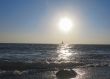 Lonely sail drifting under the big sun