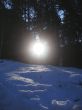 Sunrise in the winter forest. Caucaus nature