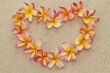 Frangipani/plumeria flower frame in shape of heart on sand