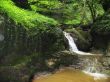 Waterfall between the rocks. The Caucasus nature