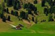 green landscape