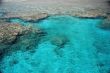 coral reef