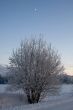 russian winter