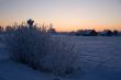 russian winter