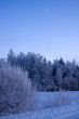 russian winter