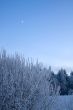 russian winter