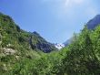Caucasus mountains and forest under clear blue sky