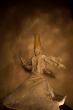 Dervish statue