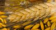 Wheat