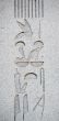 Hieroglyphics from the Obelisk of Thutmosis III in Istanbul