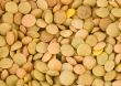 Lentils closeup