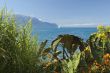 view of the lake Geneva