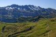alpine meadows