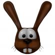 rabbit