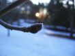 Frozen nipple and sunrise in winter forest