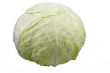cabbage