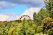 Image with wheel review