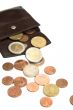 Euro coins and wallet