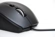 Computer mouse isolated