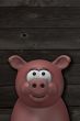 happy pig