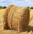 haystack