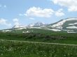 the Alpine meadows