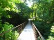 The bridge across ravine