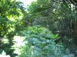 spider's web