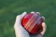 Hand Holding Cricket Ball