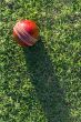 Cricket Ball On Grass