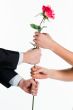 rose in hands