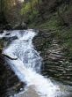 Falls