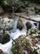 Falls