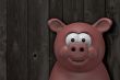 happy pig