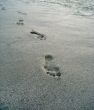 Traces on sea sand