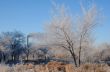 Winter Landscape and Smoking Chimney